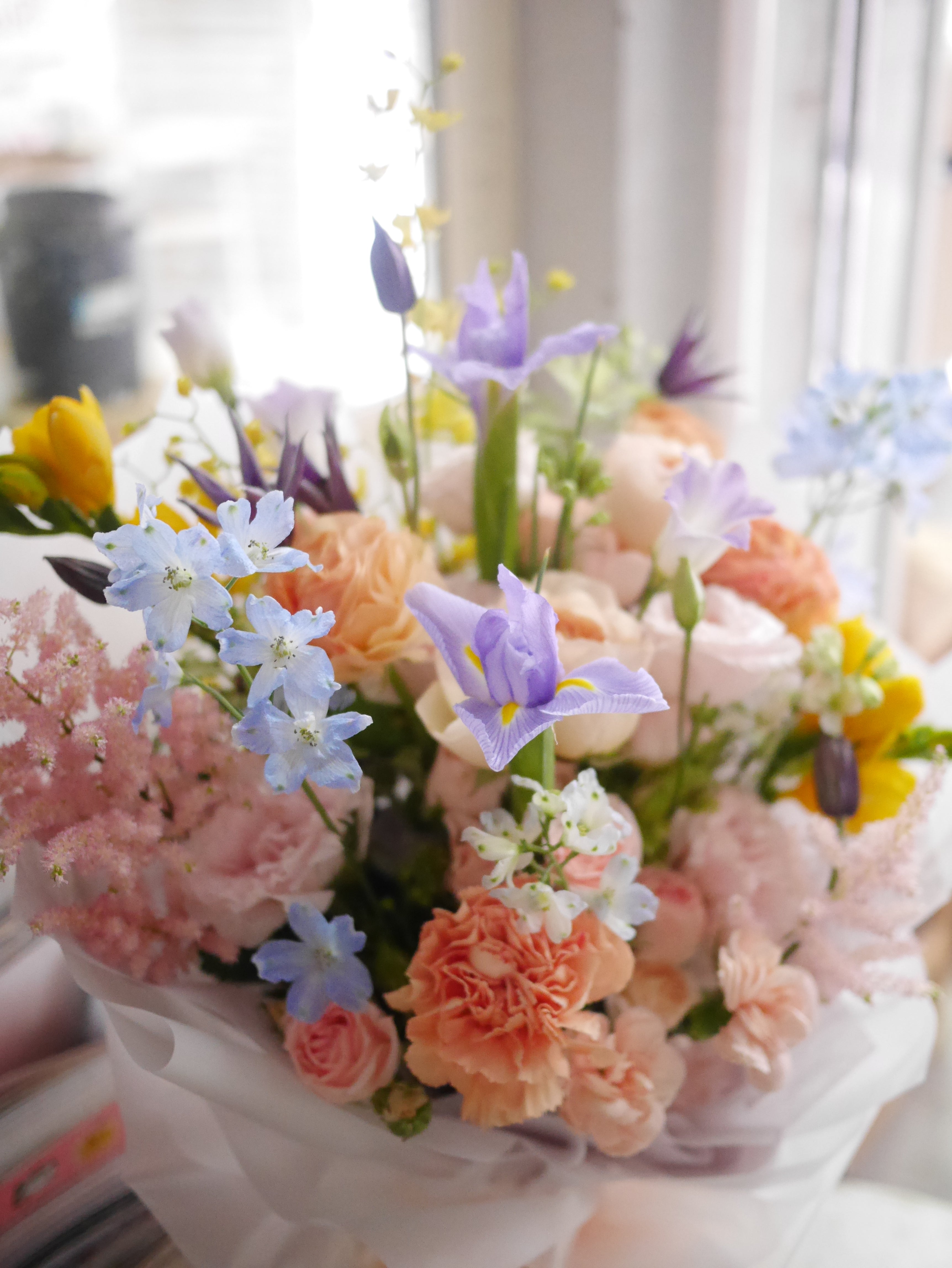 Seasonal 季節限定