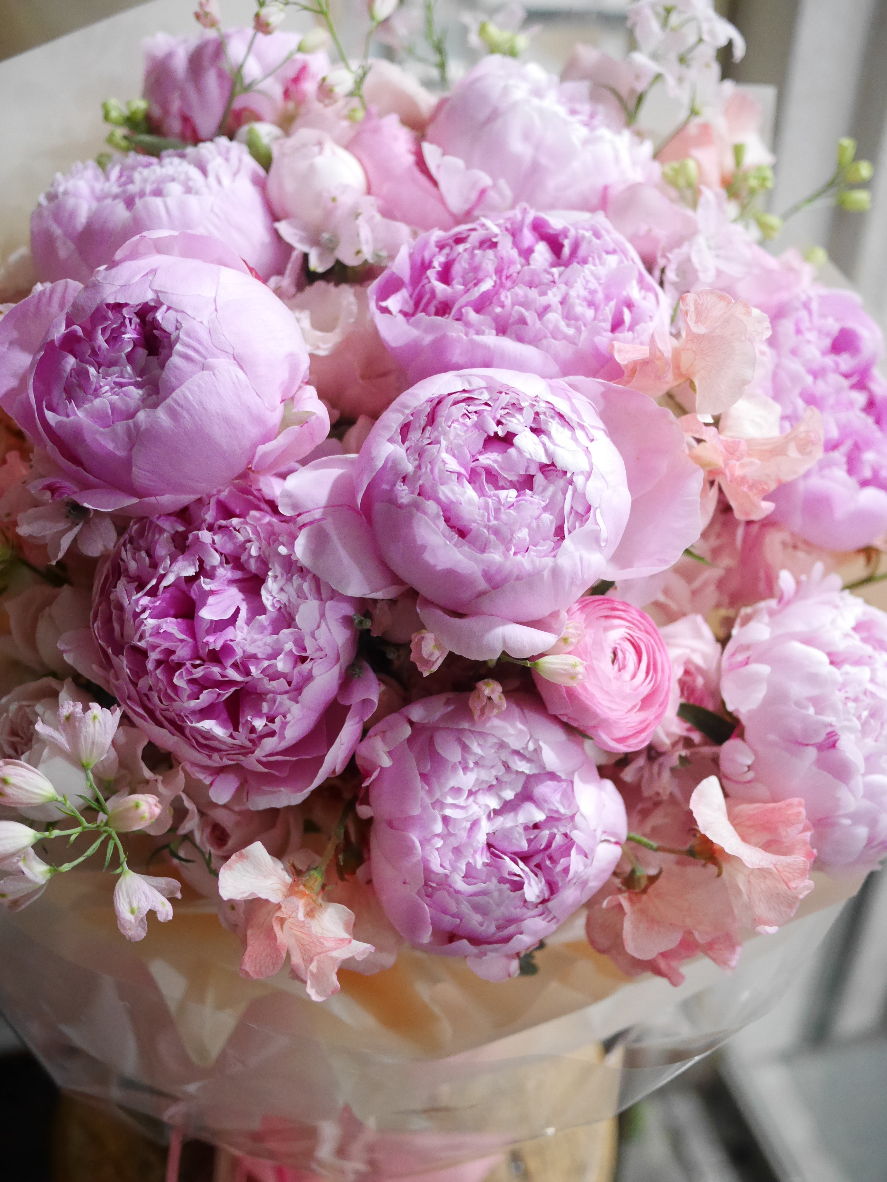 Peony bouquet 牡丹花束
