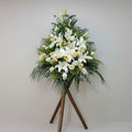 Sympathy basket 百合帛事花籃